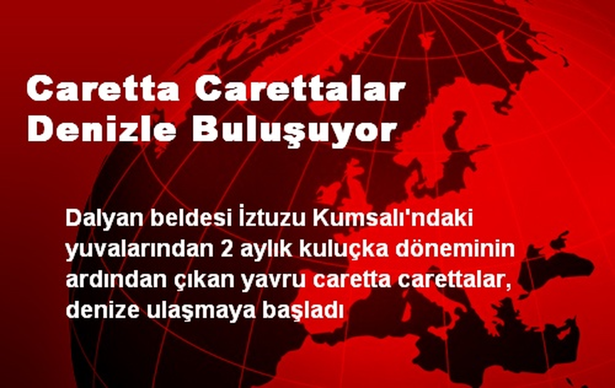 Caretta Carettalar Denizle Buluşuyor
