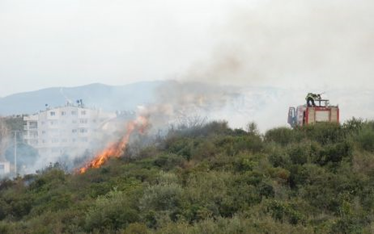 Didim\'de Makilik Yangını