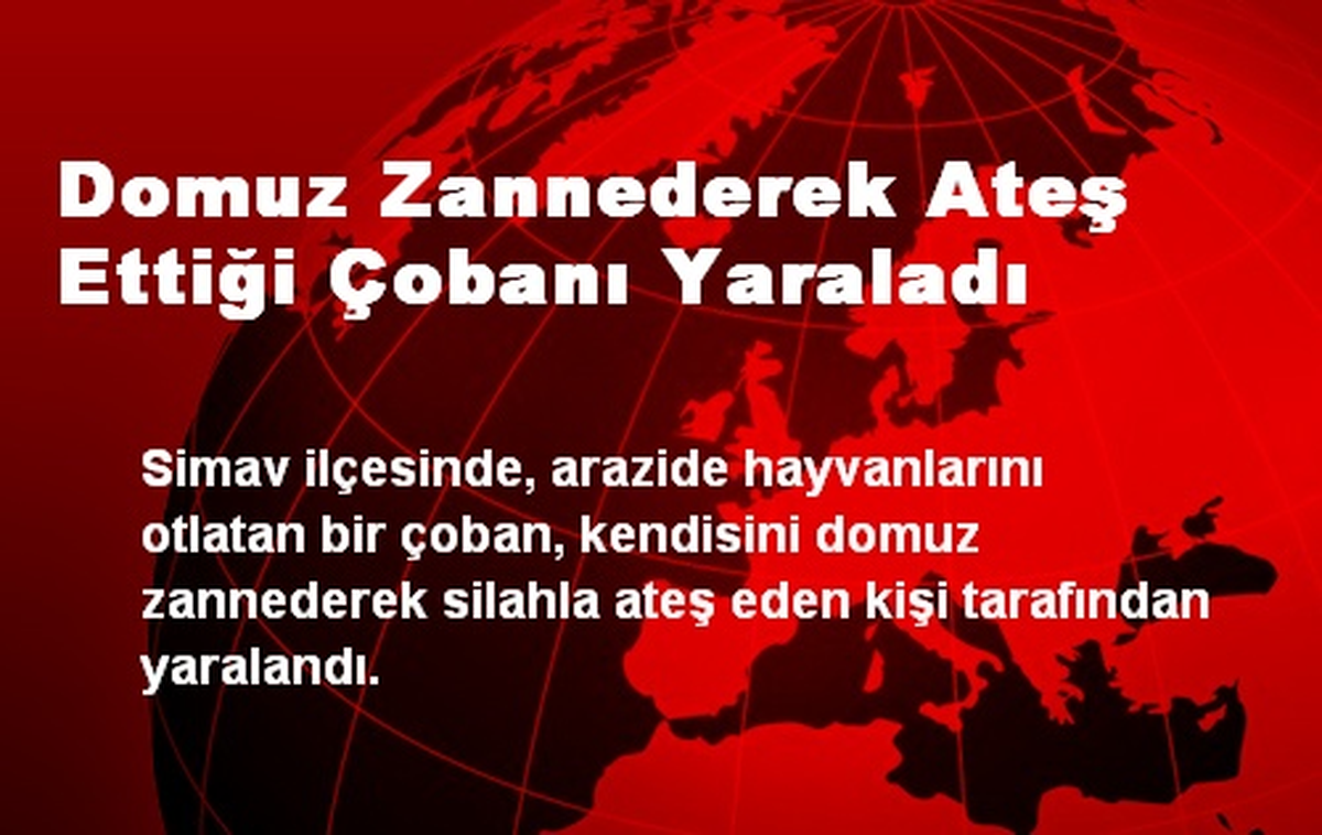 Domuz Zannederek Ateş Ettiği Çobanı Yaraladı