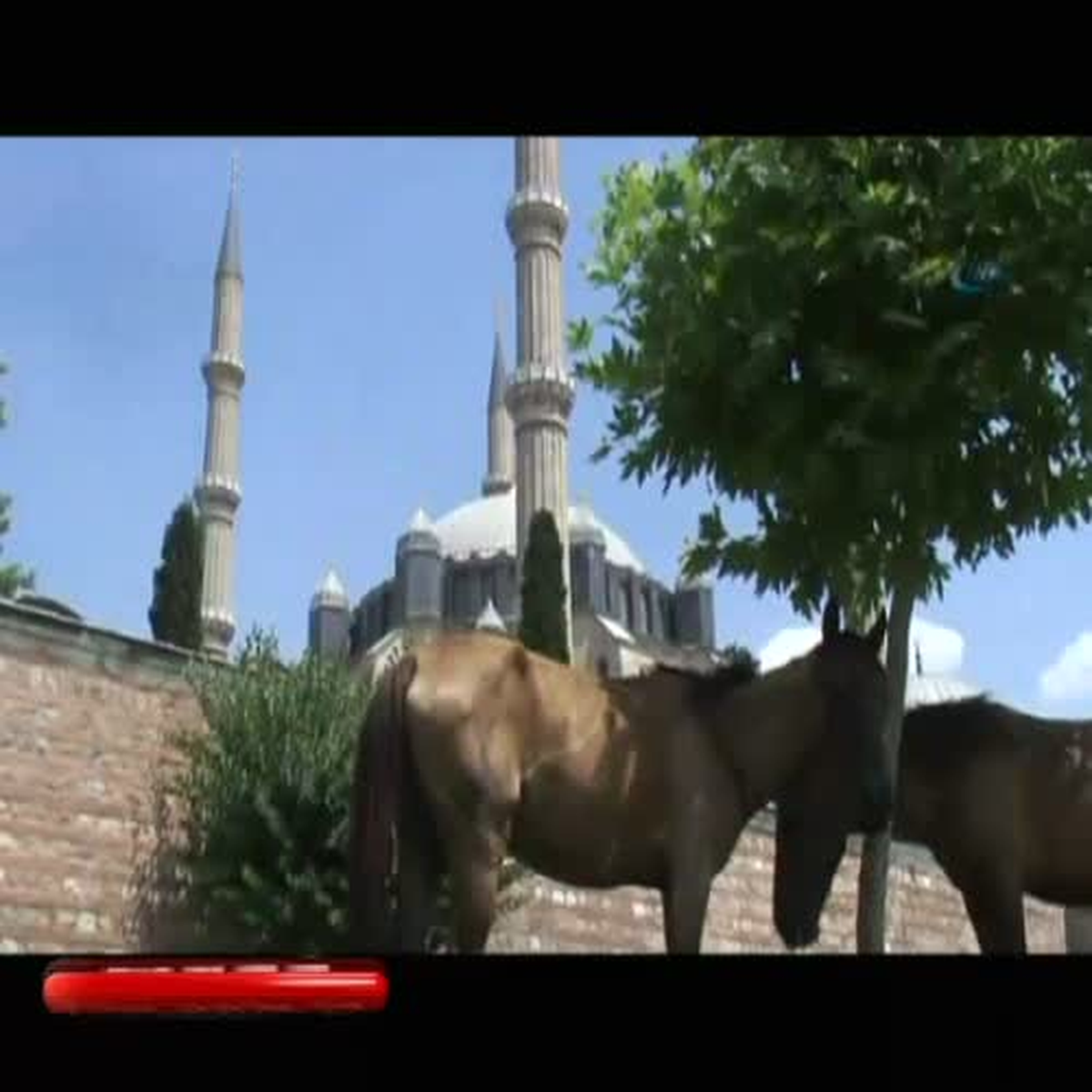 Edirne\'de Atlar Meydana İndi