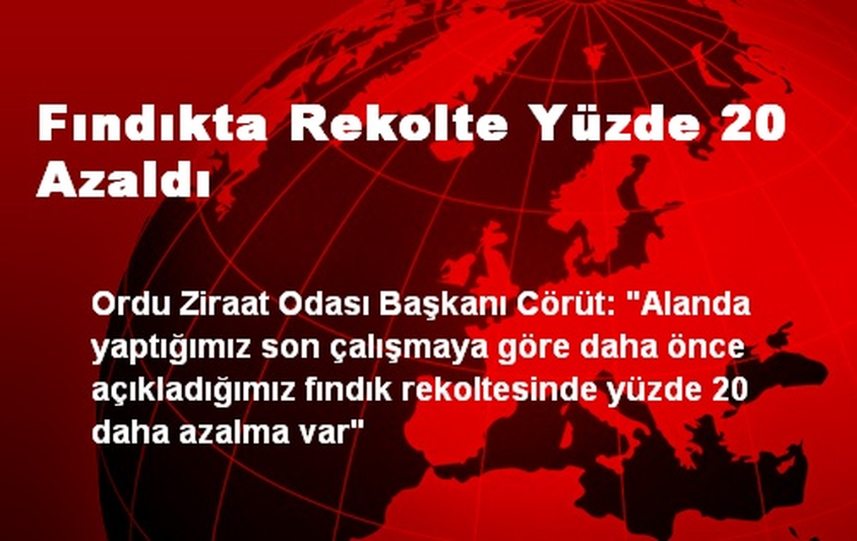 Fındıkta Rekolte Yüzde 20 Azaldı