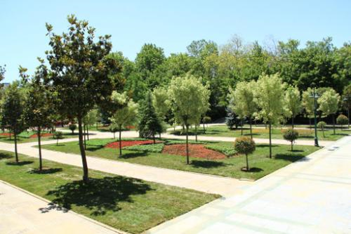 Gezi Parkı\'nda Ağaç ve Çiçek Dikimi Tamamlandı