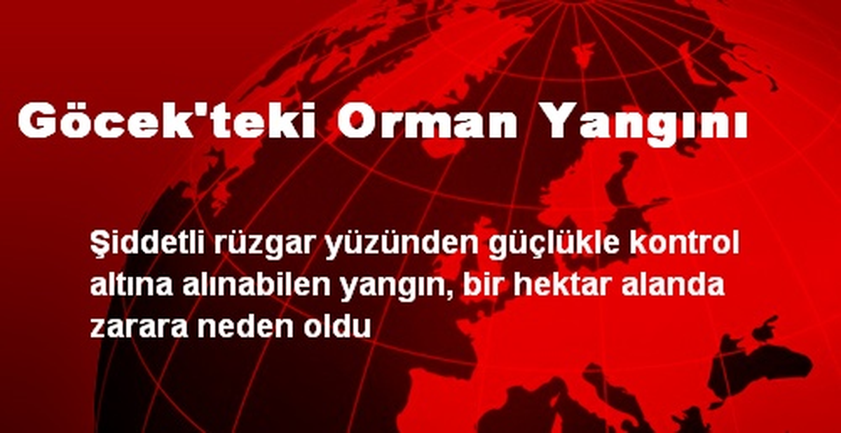 Göcek\'teki Orman Yangını