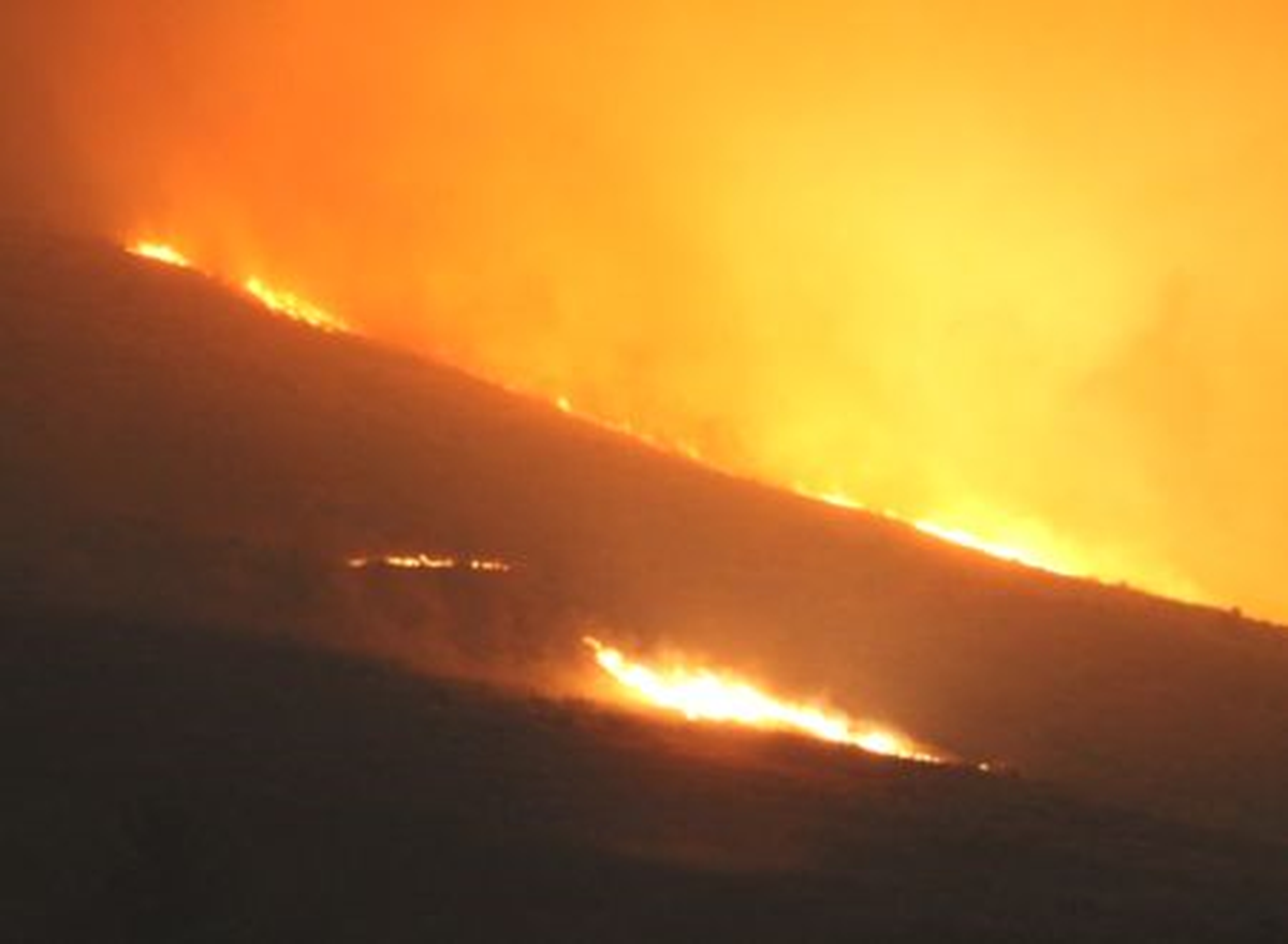 Gülnar\'da Orman Yangını