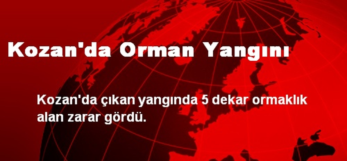 Kozan\'da Orman Yangını