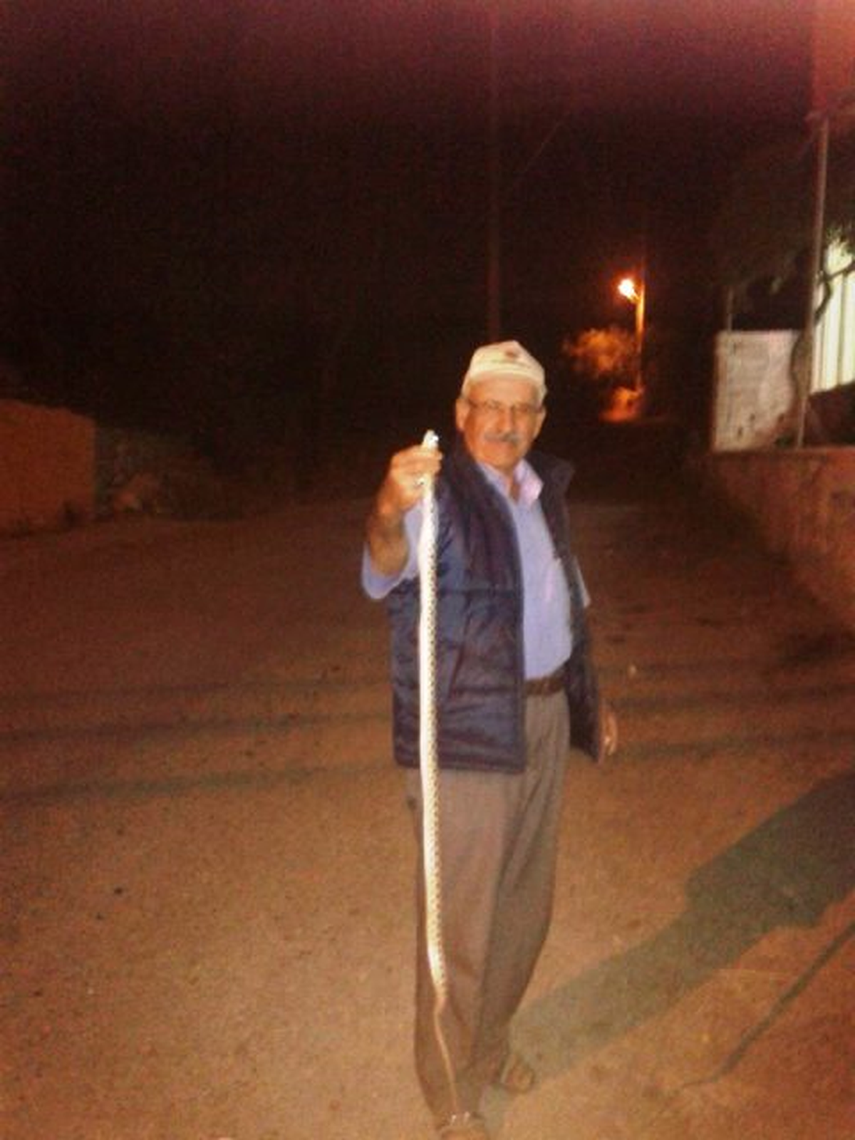 Manisa\'da Yılan Operasyonu