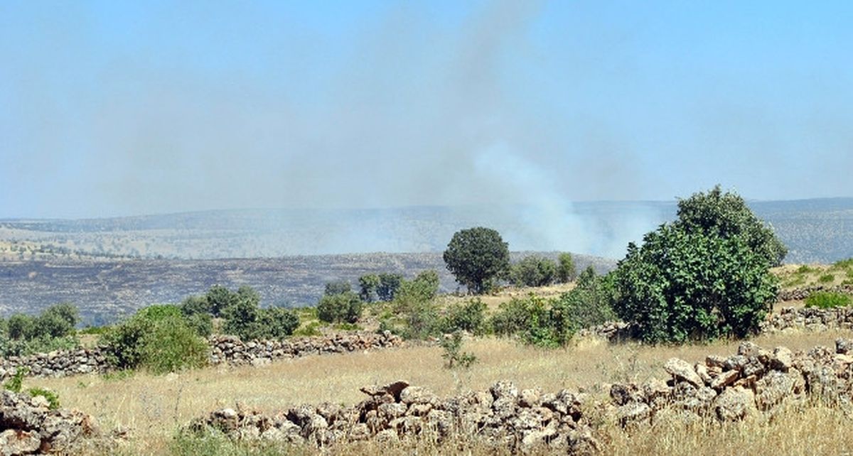 Midyat\'ta Orman Yangını