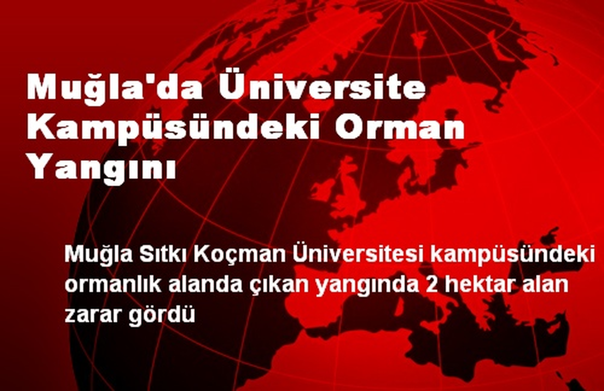 Muğla\'da Üniversite Kampüsündeki Orman Yangını