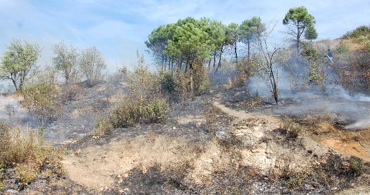 Simav\'da Korkutan Yangın