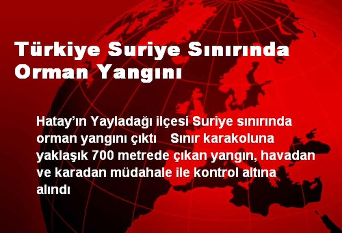 Türkiye Suriye Sınırında Orman Yangını