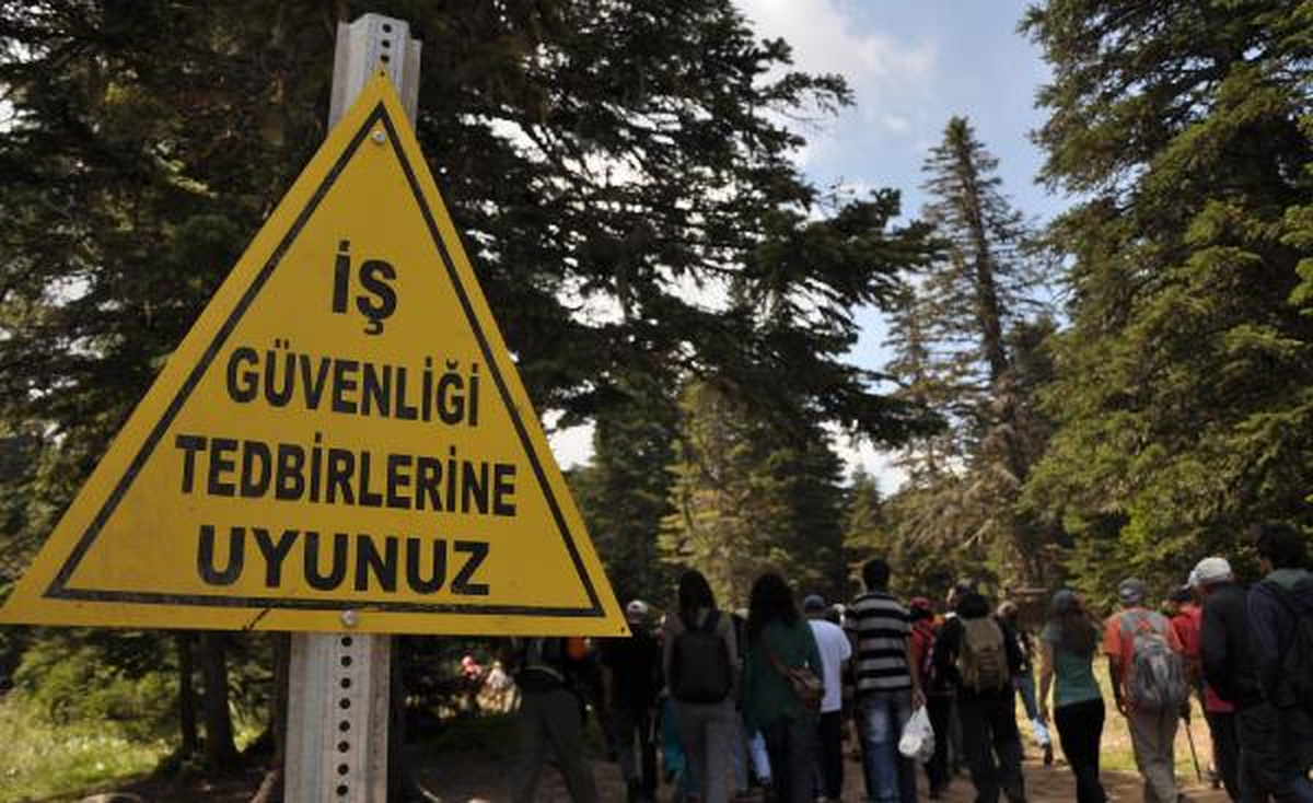 Uludağ\'da \'4 Bin Ağaca Kıymayın\' Eylemi