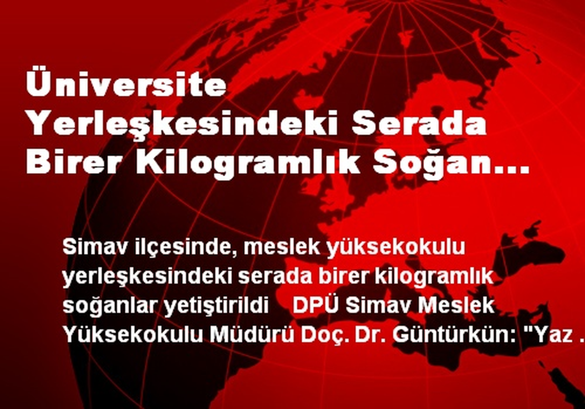 Üniversite Yerleşkesindeki Serada Birer Kilogramlık Soğan Ürettiler