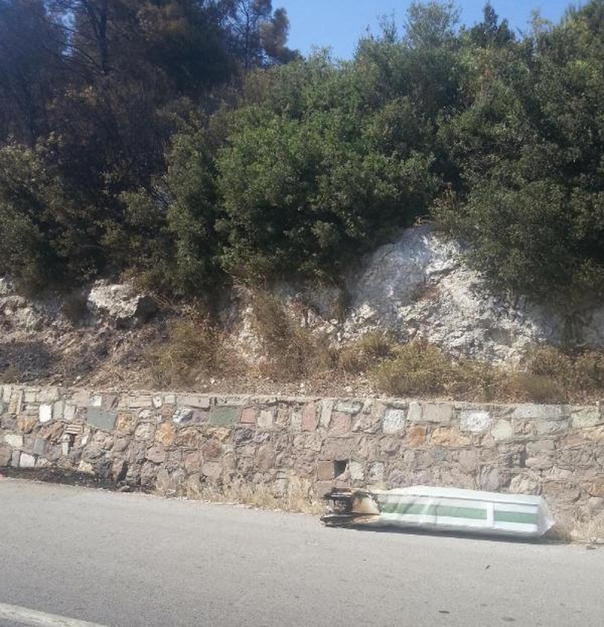 İzmir\'deki Orman Yangını Zanlıları Serbest Bırakıldı