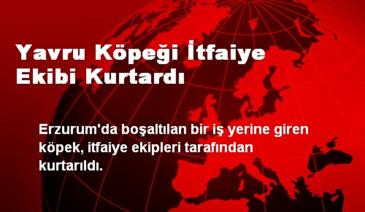 Yavru Köpeği İtfaiye Ekibi Kurtardı