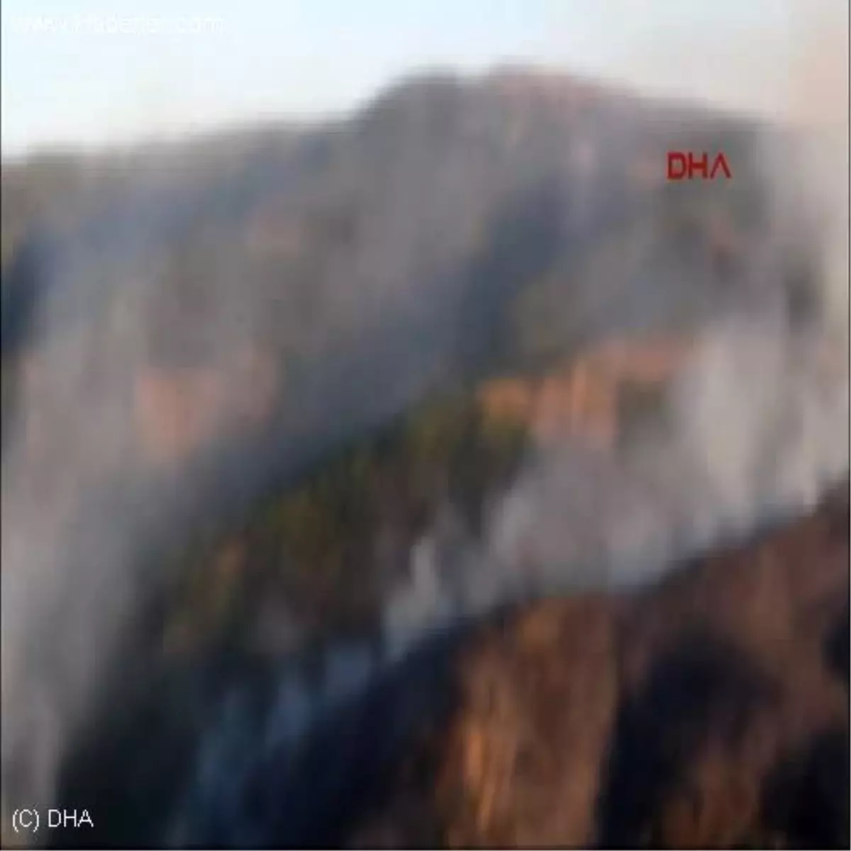 Yenipazar\'da Orman Yangını Kontrol Altına Alındı