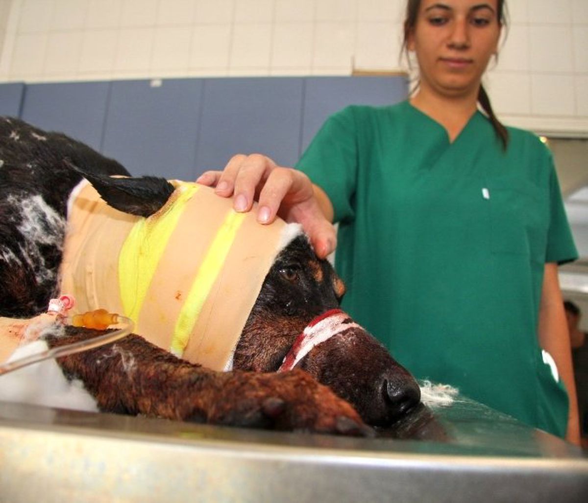 Yine Türkiye\'de Bir İlk