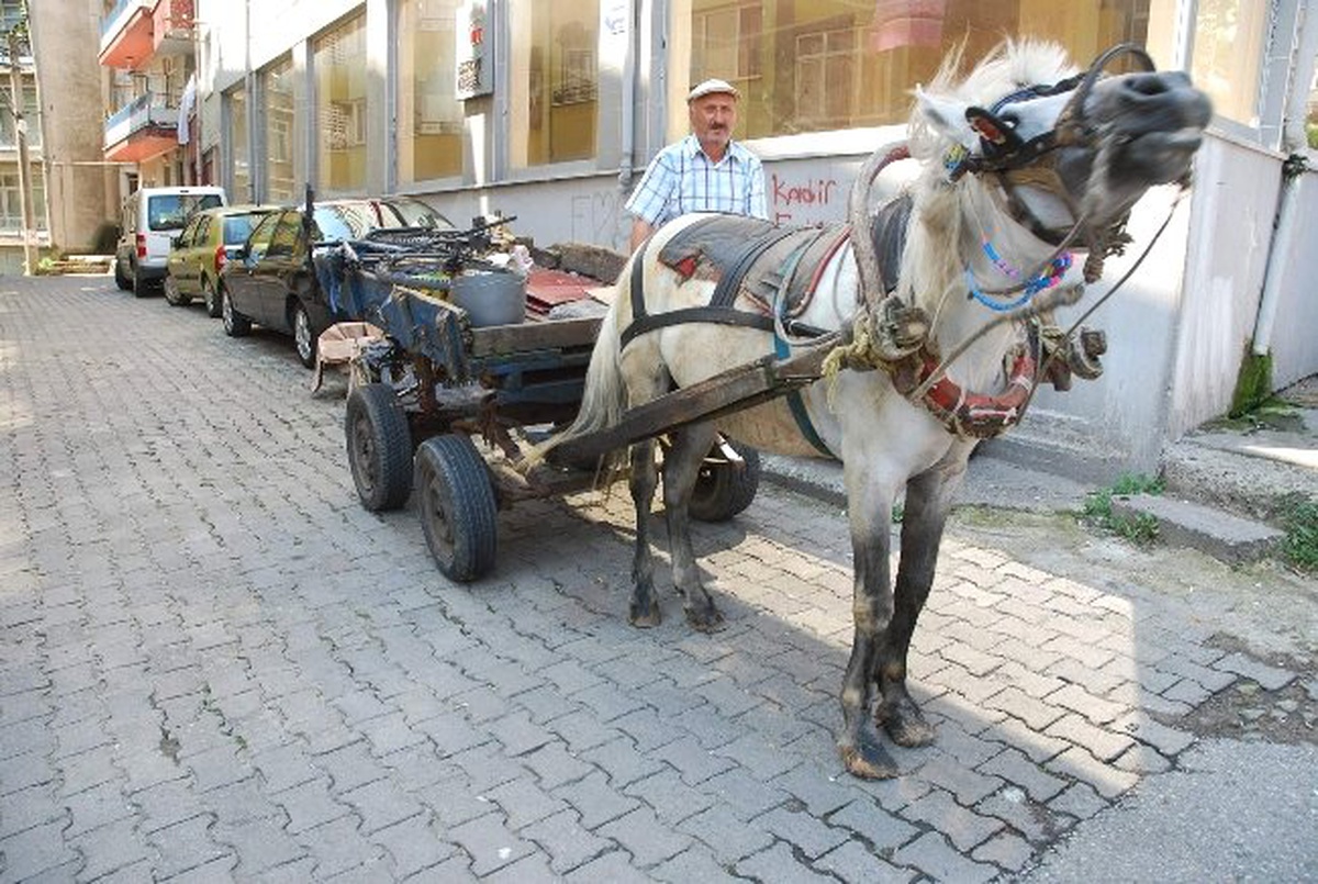 Zamana Meydan Okudu Ama Trafik Kazasına Yenik Düştü