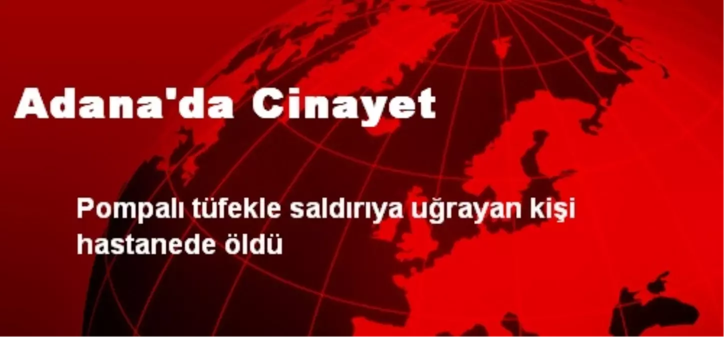 Adana\'da Cinayet