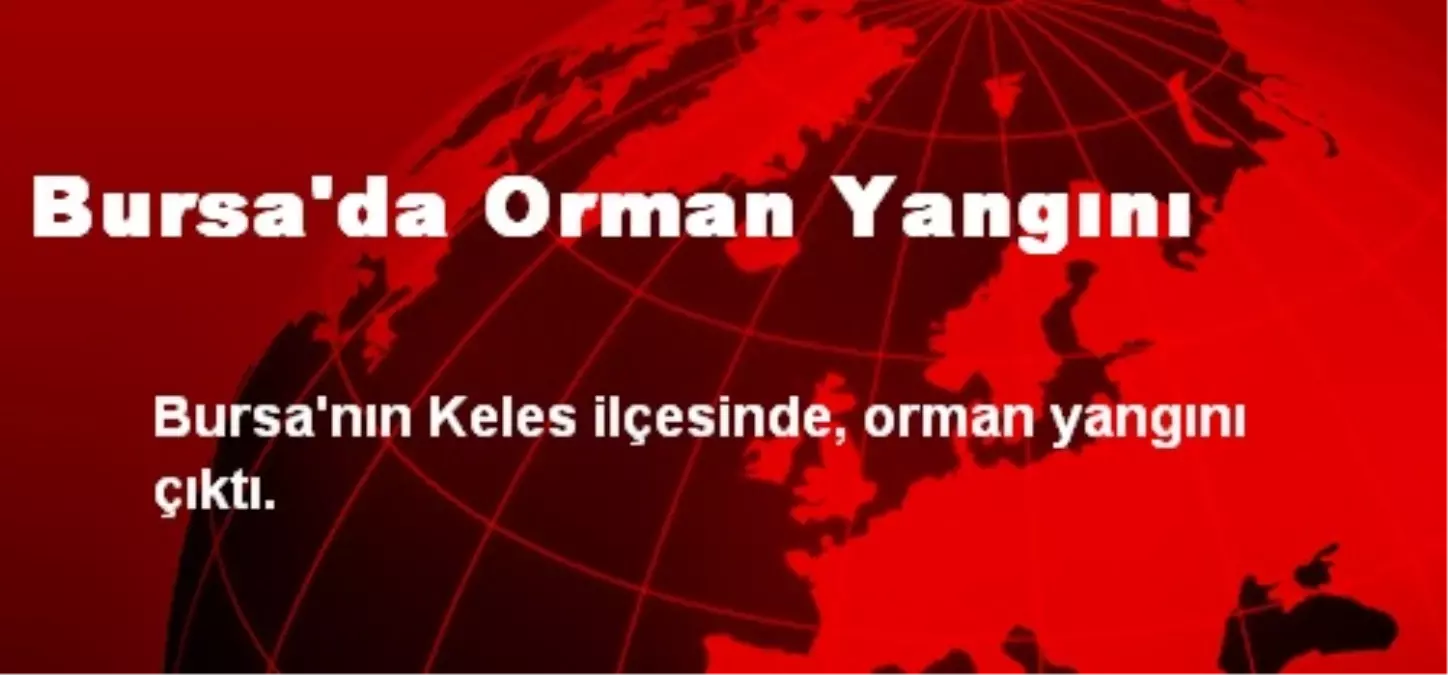 Bursa\'da Orman Yangını