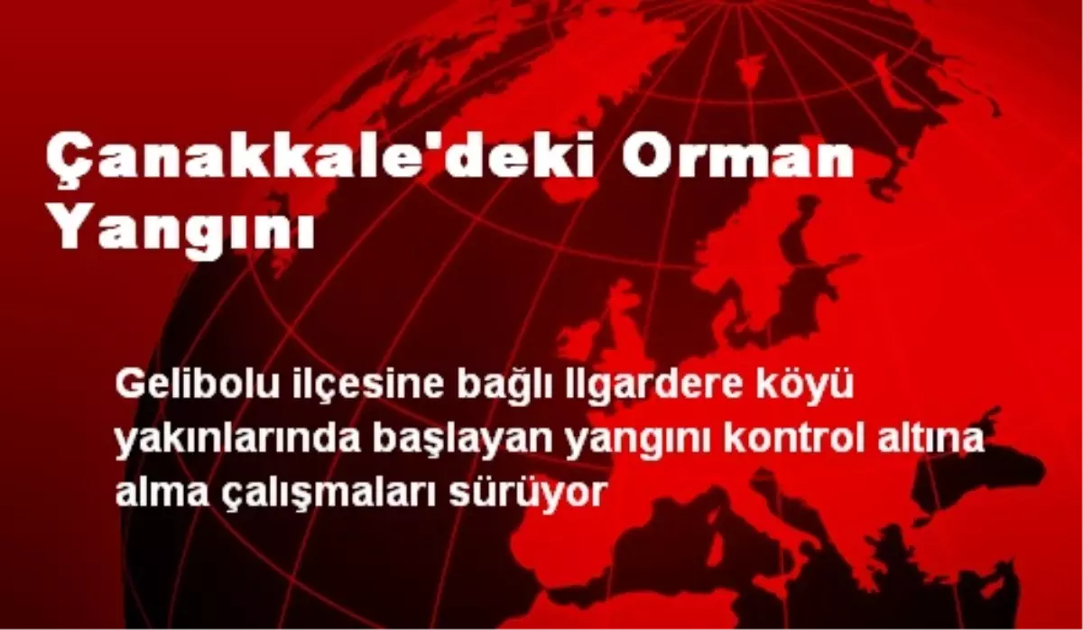 Çanakkale\'deki Orman Yangını