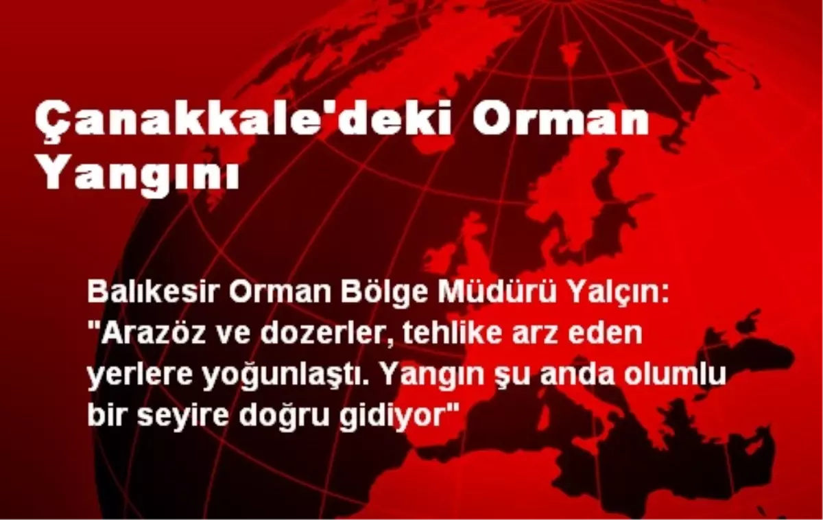 Çanakkale\'deki Orman Yangını