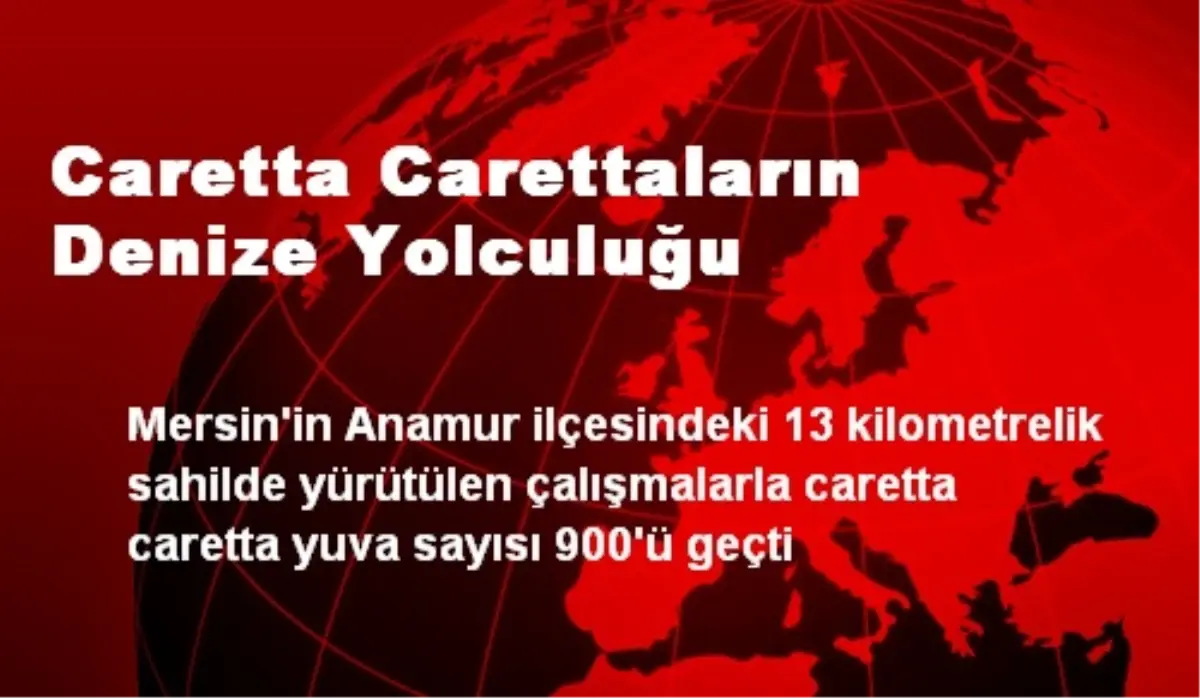 Caretta Carettaların Denize Yolculuğu