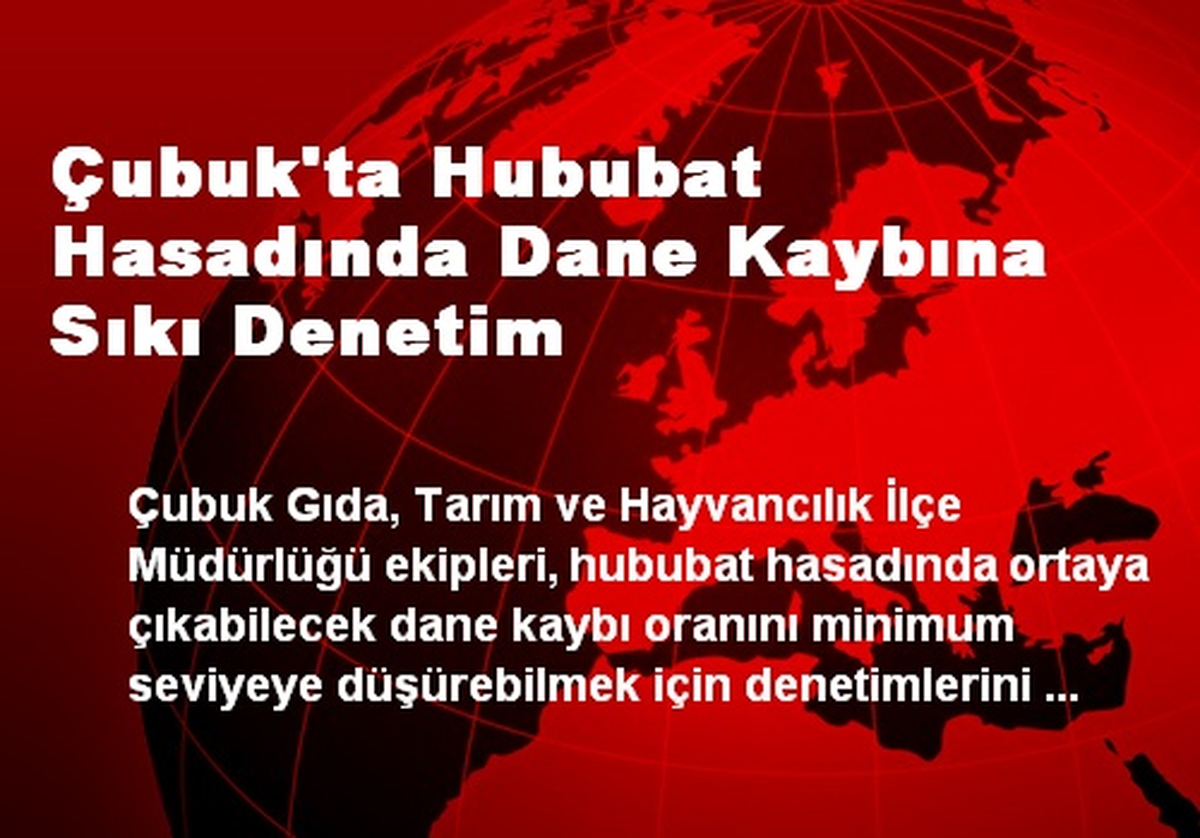 Çubuk\'ta Hububat Hasadında Dane Kaybına Sıkı Denetim