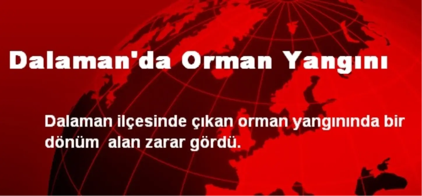 Dalaman\'da Orman Yangını