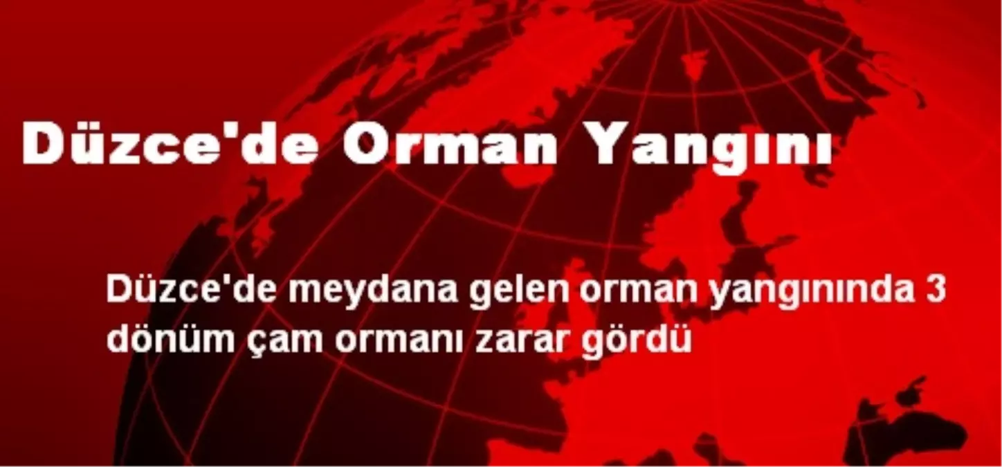 Düzce\'de Orman Yangını