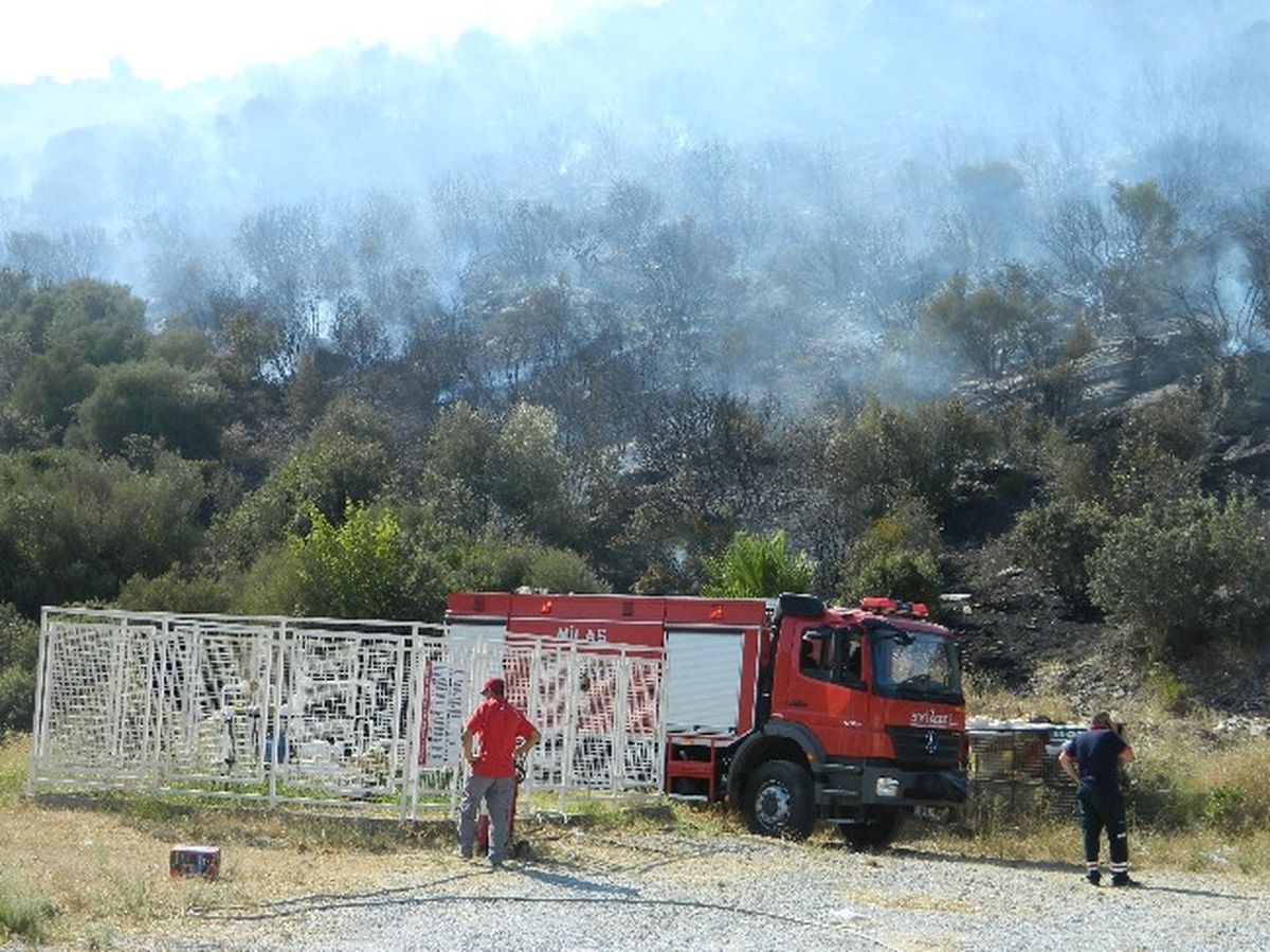 Milas\'ta Orman Yangını Benzinlik ve Evleri Tehdit Ediyor