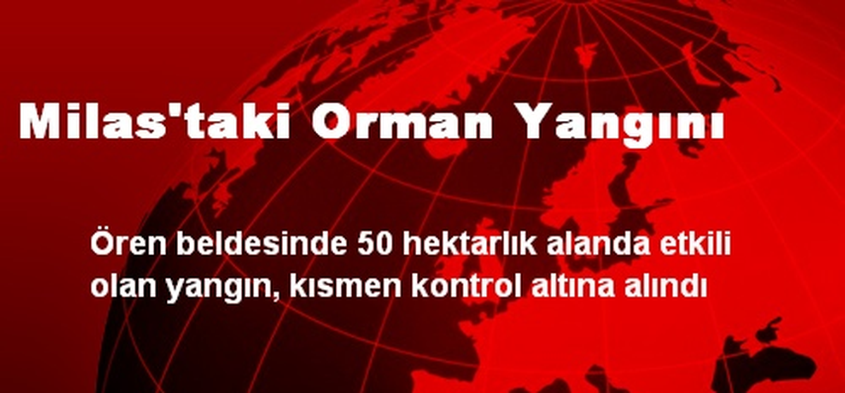 Milas\'taki Orman Yangını