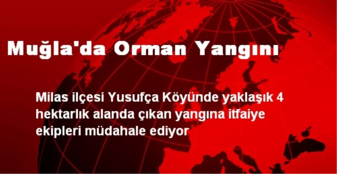 Muğla\'da Orman Yangını