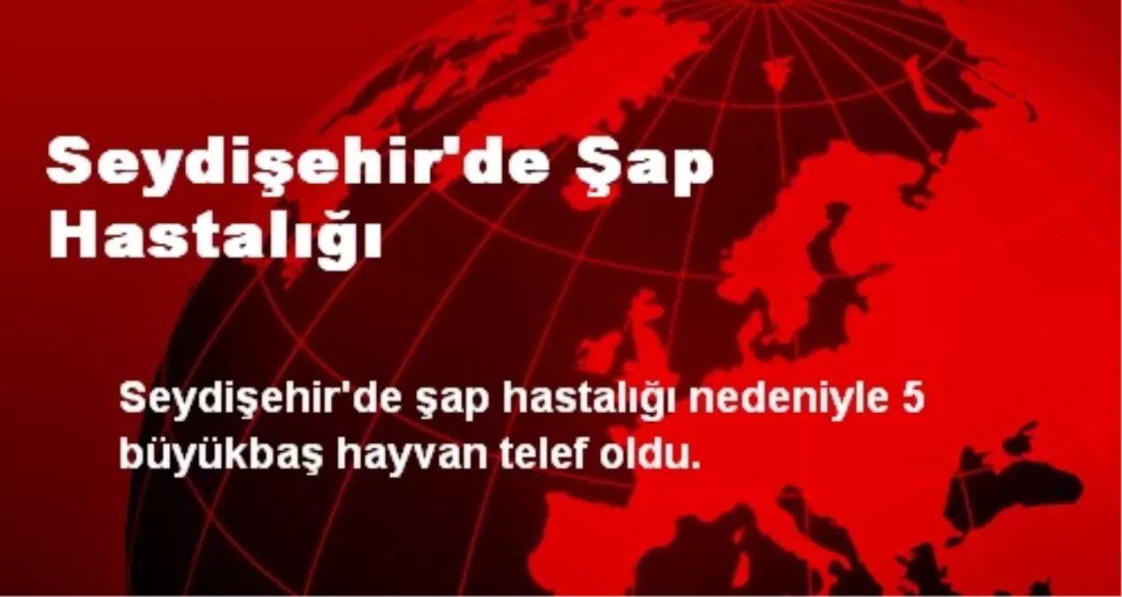 Seydişehir\'de Şap Hastalığı