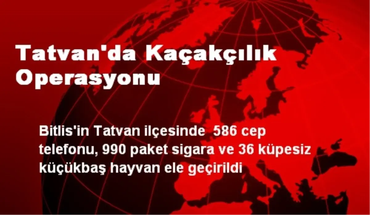 Tatvan\'da Kaçakçılık Operasyonu