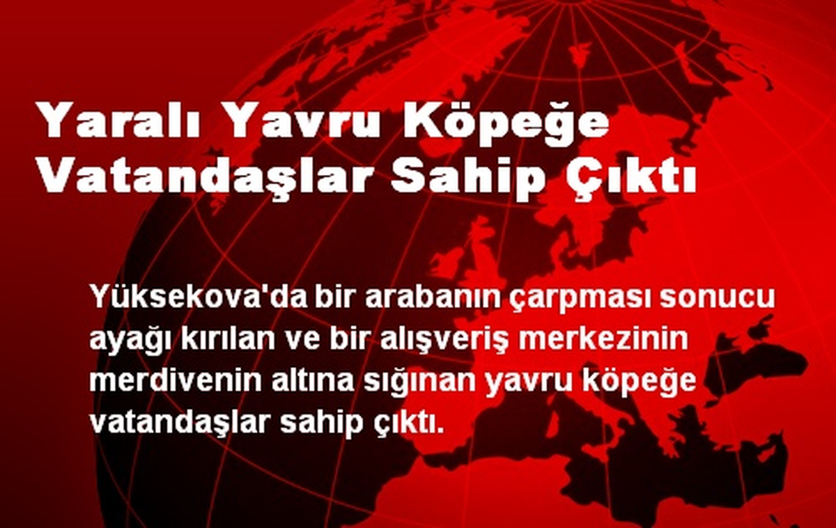 Yaralı Yavru Köpeğe Vatandaşlar Sahip Çıktı