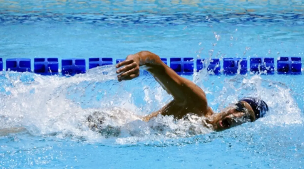 15. Fına Dünya Su Sporları Şampiyonası