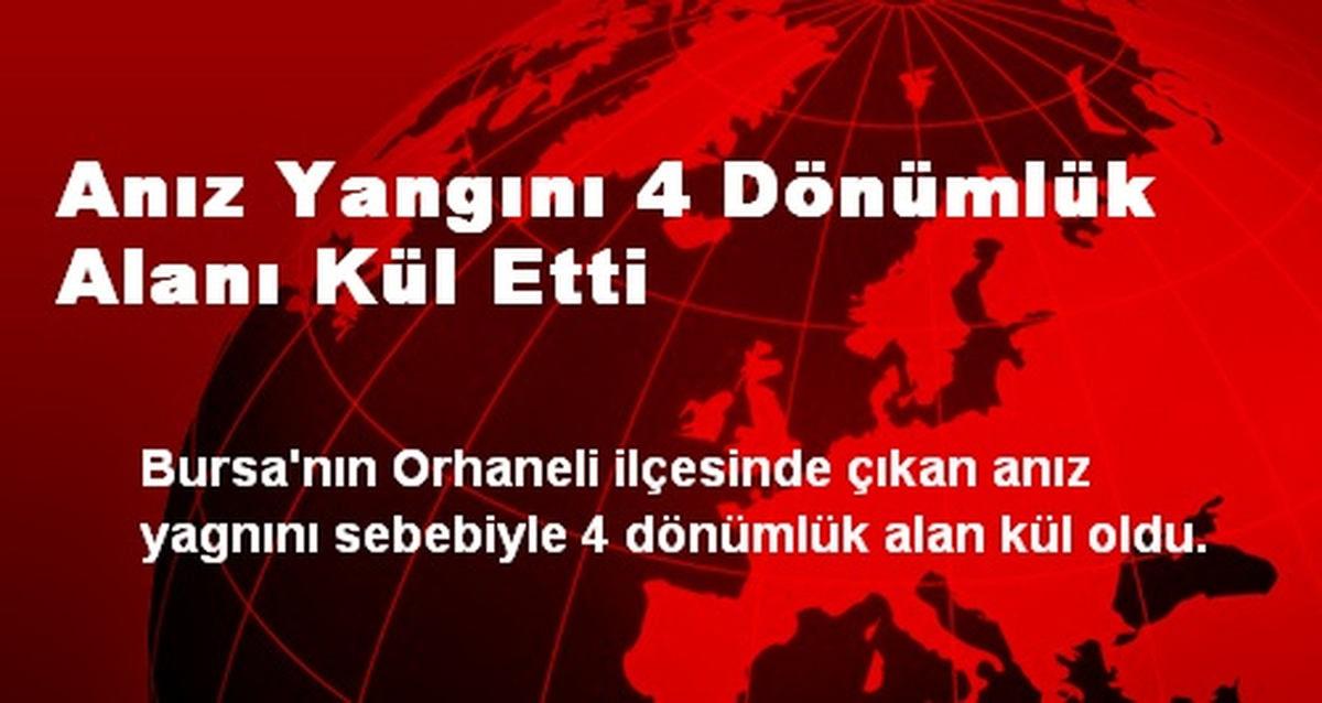 Anız Yangını 4 Dönümlük Alanı Kül Etti