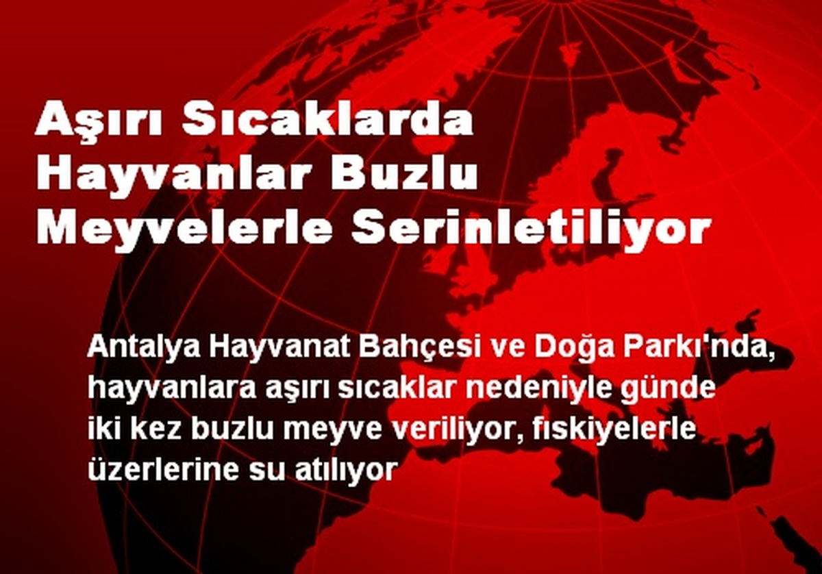 Aşırı Sıcaklarda Hayvanlar Buzlu Meyvelerle Serinletiliyor