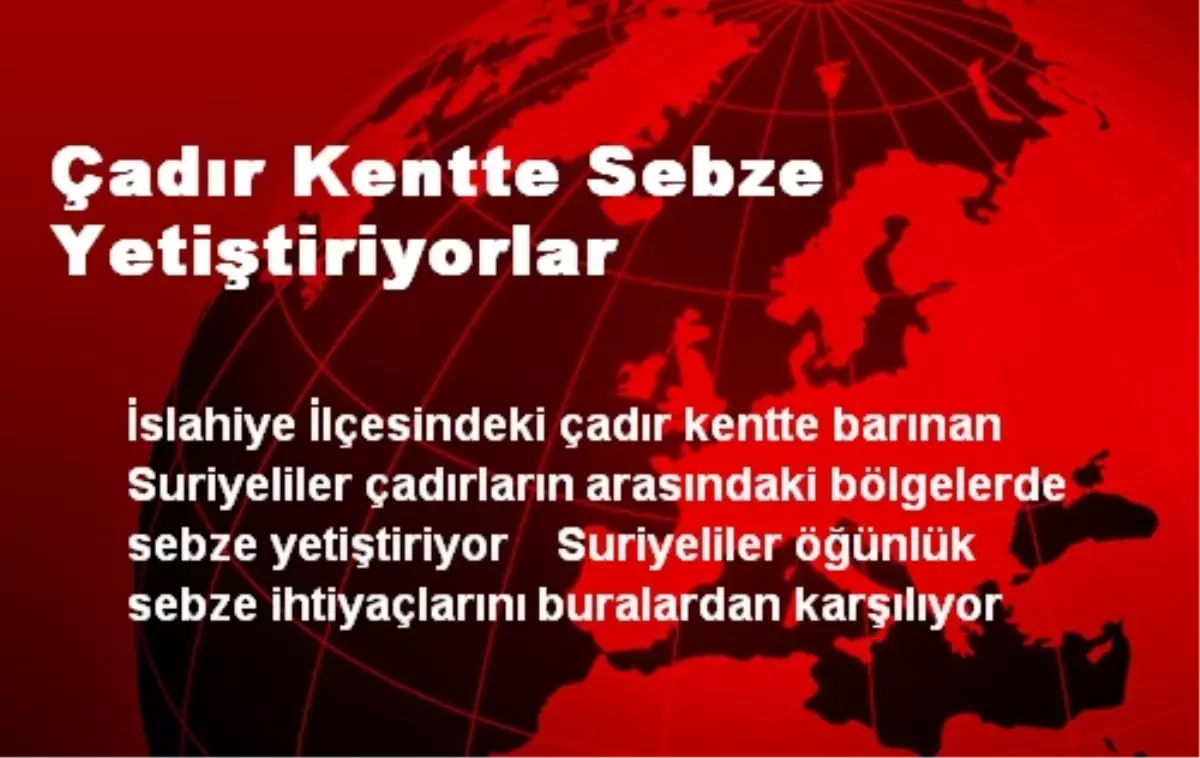 Çadır Kentte Sebze Yetiştiriyorlar