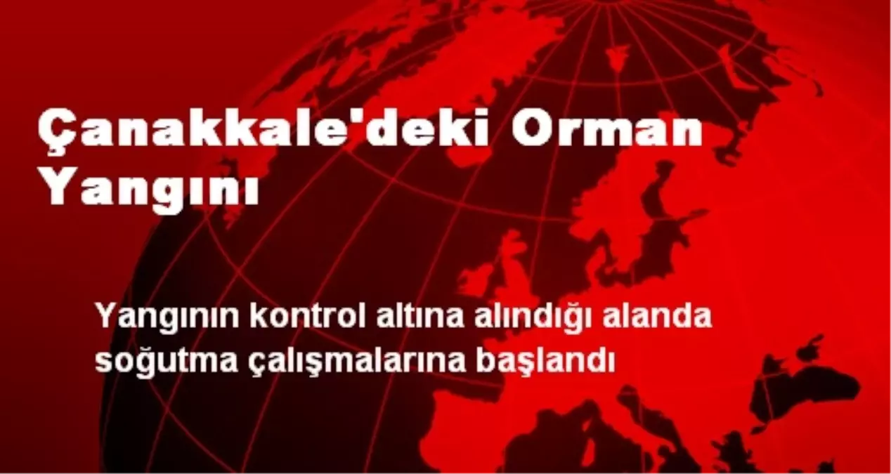 Çanakkale\'deki Orman Yangını