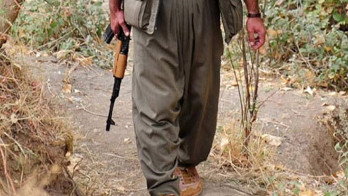Cizre\'de Bir PKK\'lı Tutuklandı