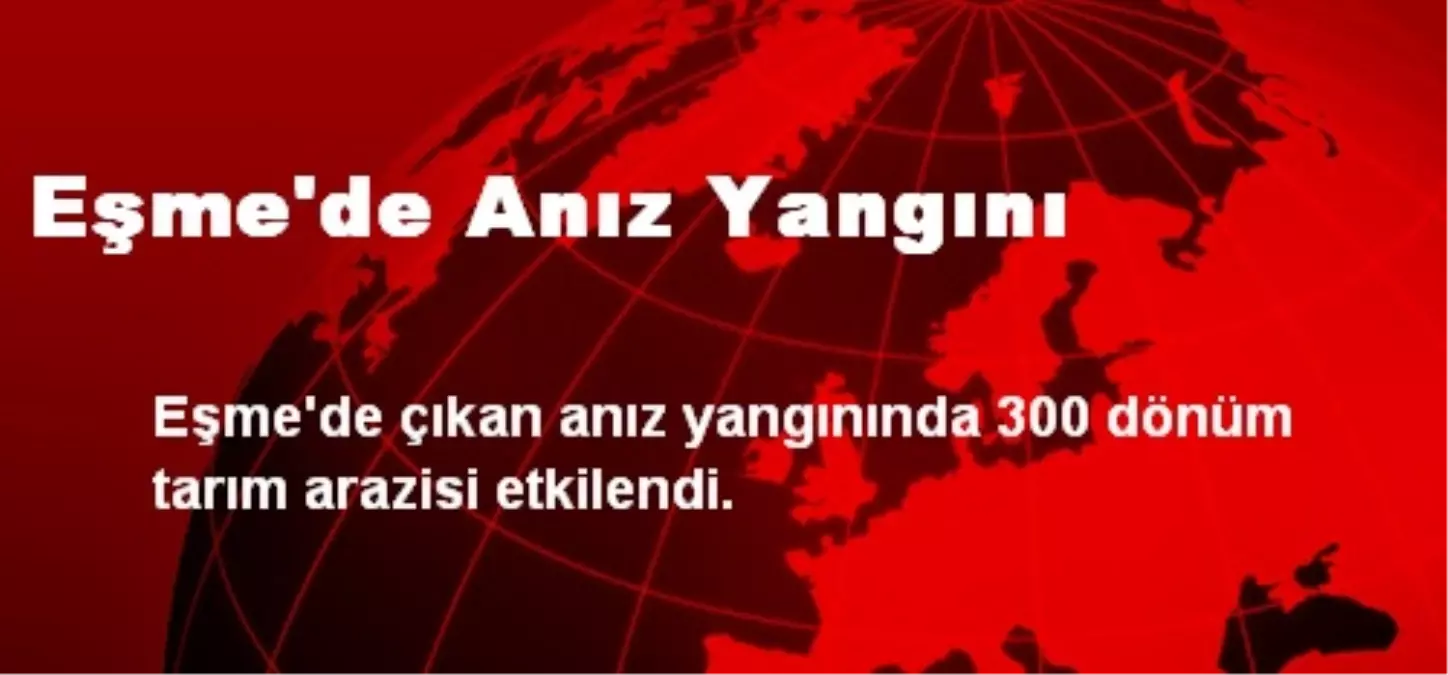 Eşme\'de Anız Yangını