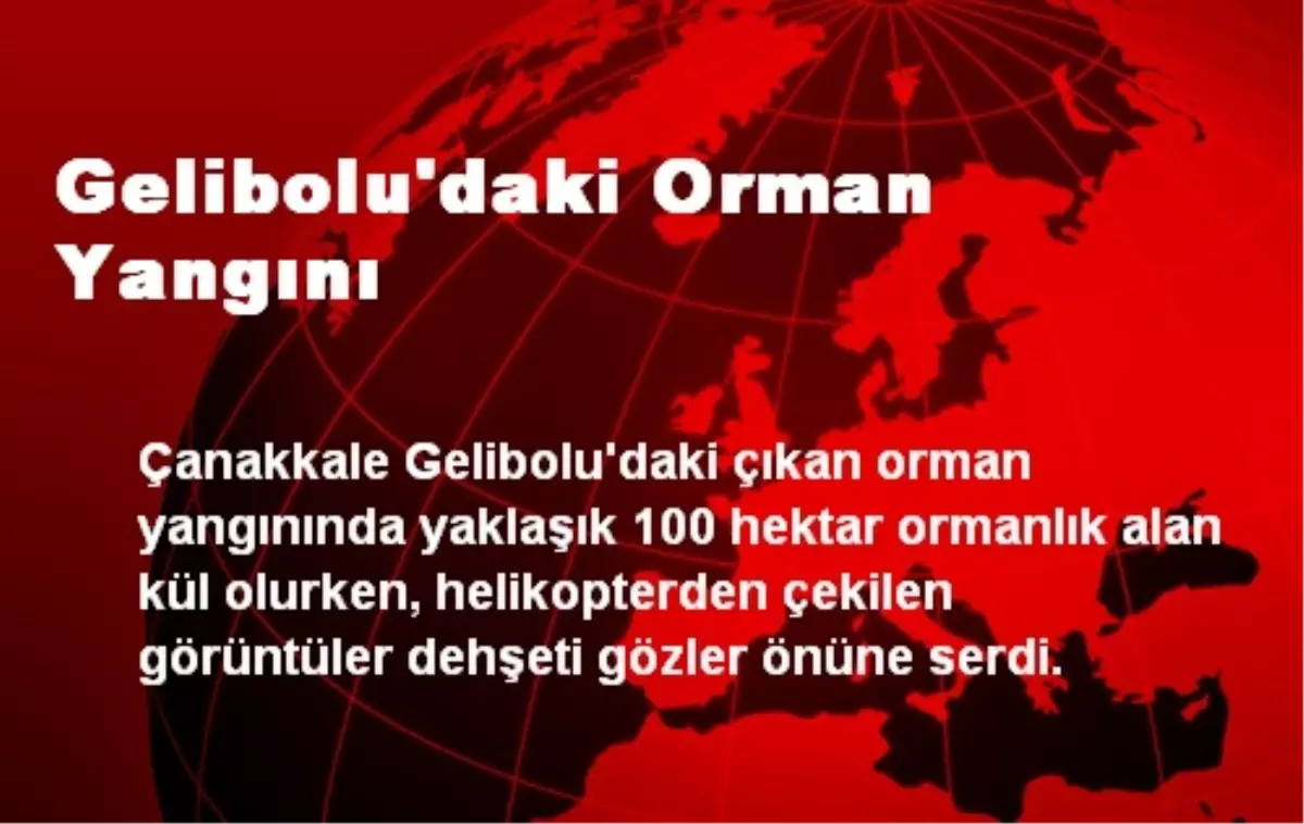 Gelibolu\'daki Orman Yangını