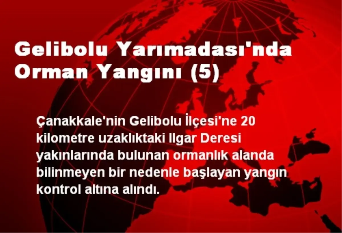 Gelibolu Yarımadası\'nda Orman Yangını (5)