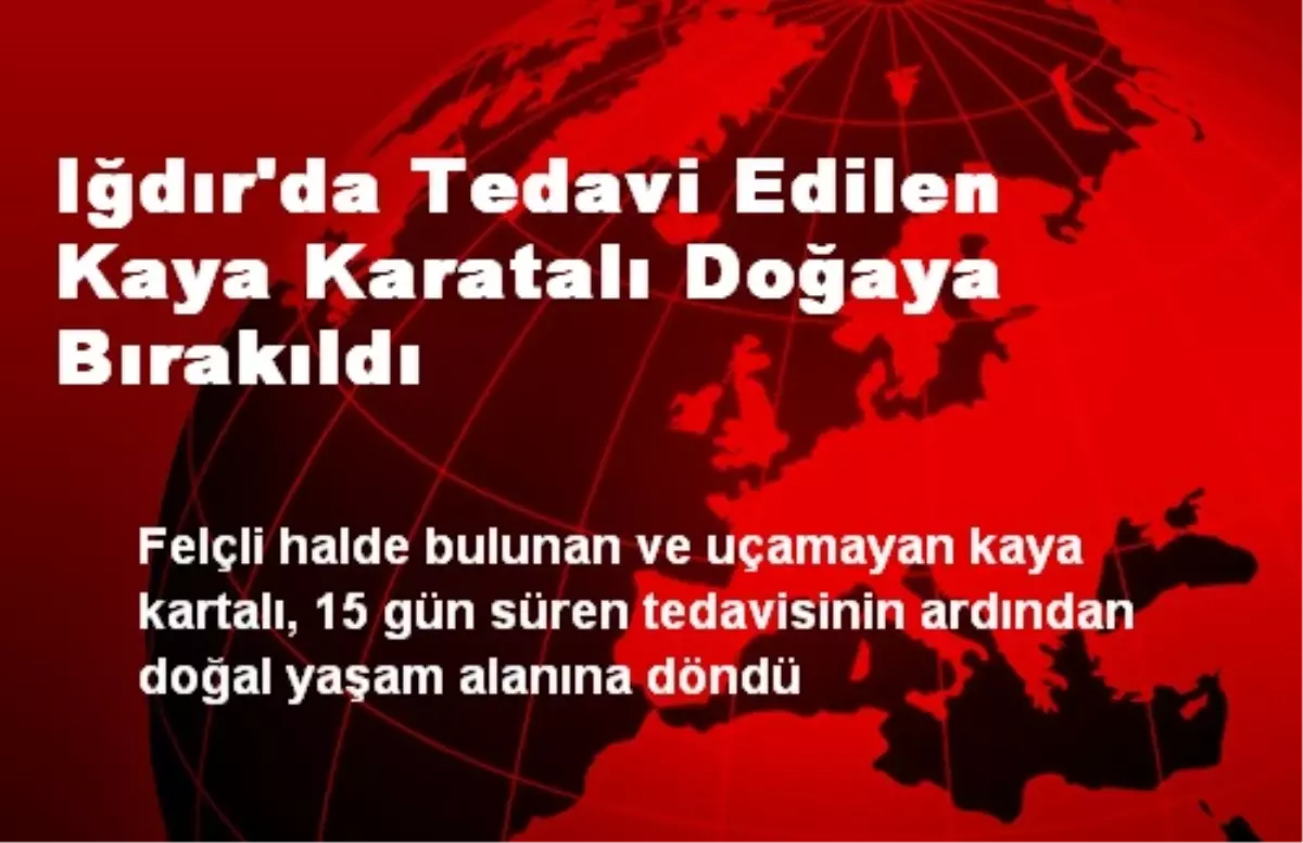 Iğdır\'da Tedavi Edilen Kaya Karatalı Doğaya Bırakıldı