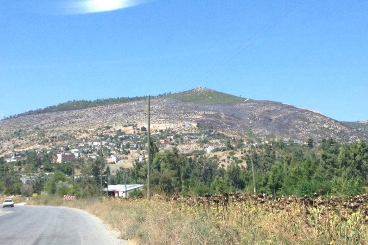 Karaisalı Hasan Dağı Kabak Dağı Oldu