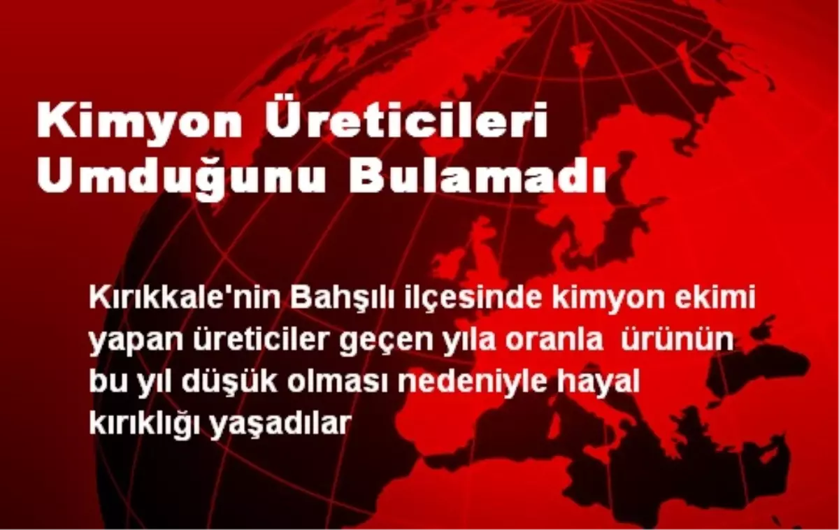 Kimyon Üreticileri Umduğunu Bulamadı