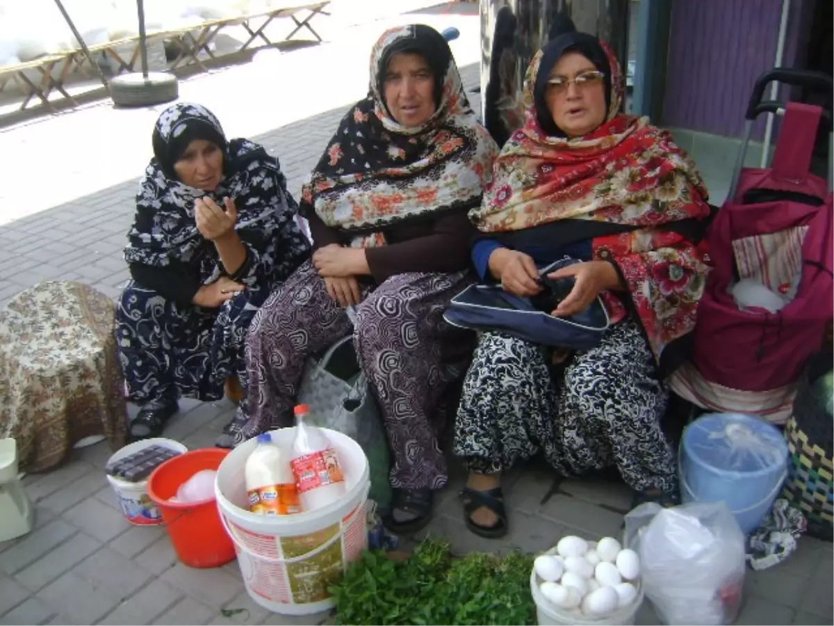 Köylü Kadınlar Aile Bütçelerine Katkı Sağlıyor