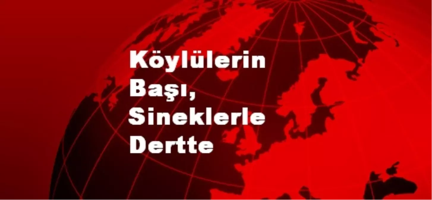 Köylülerin Başı, Sineklerle Dertte