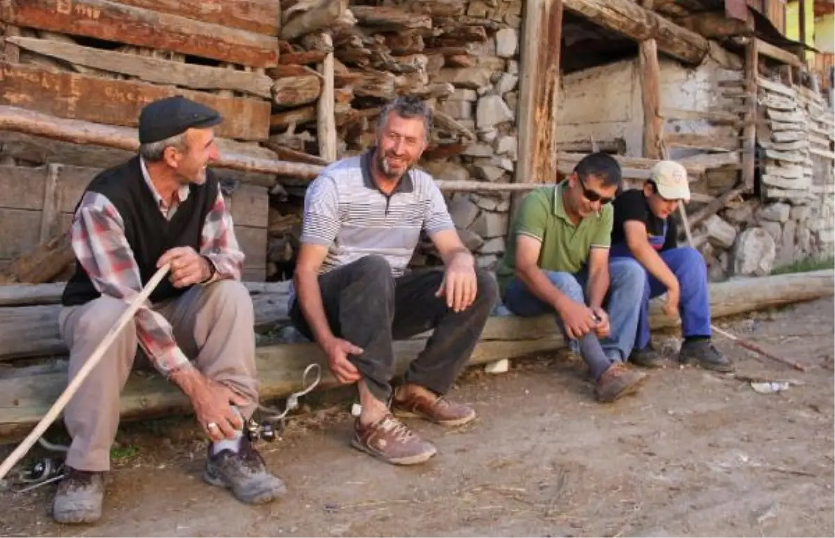 Erzurumlu Köylülerin Pireden Kurtulamıyor